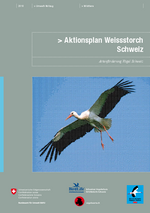 Aktionsplan